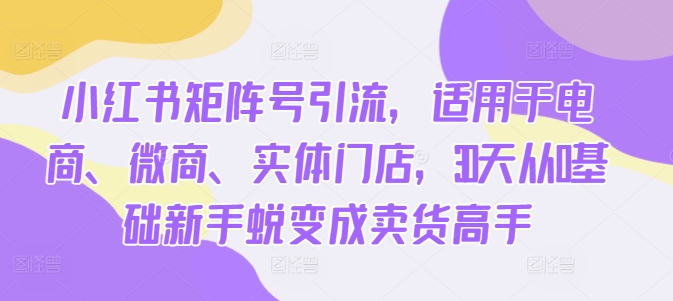 小红书矩阵号引流，适用于电商、微商、实体门店，30天从0基础新手蜕变成卖货高手-博库