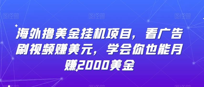 海外撸美金挂机项目，看广告刷视频赚美元，学会你也能月赚2000美金-博库