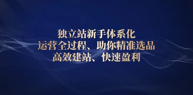 独立站新手体系化 运营全过程，助你精准选品、高效建站、快速盈利-博库