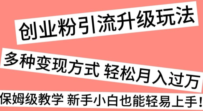 创业粉引流升级玩法，多种变现方式轻松月入过万，保姆级教学新手小白也能轻易上手！-博库