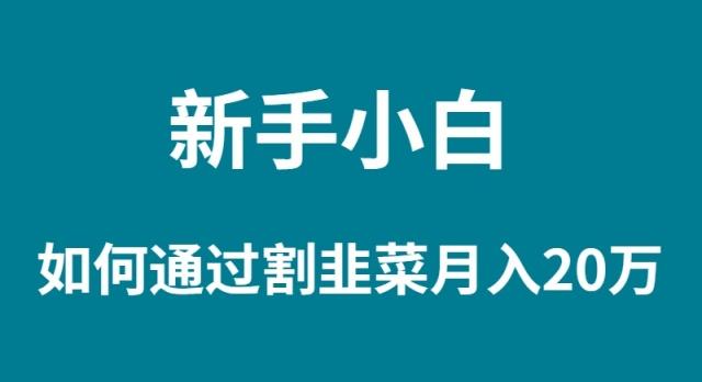 (9308期)新手小白如何通过割韭菜月入 20W-博库