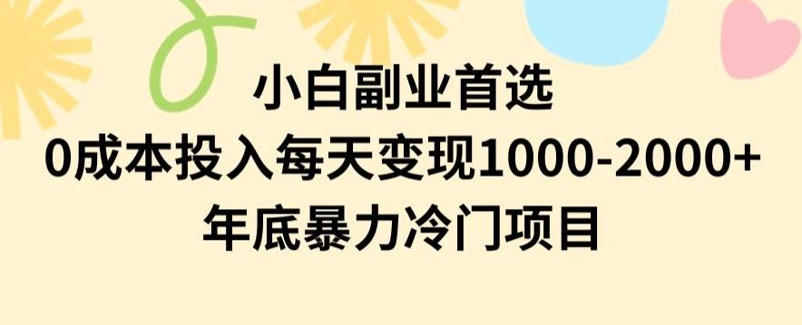 小白副业首选，0成本投入，每天变现1000-2000年底暴力冷门项目【揭秘】-博库