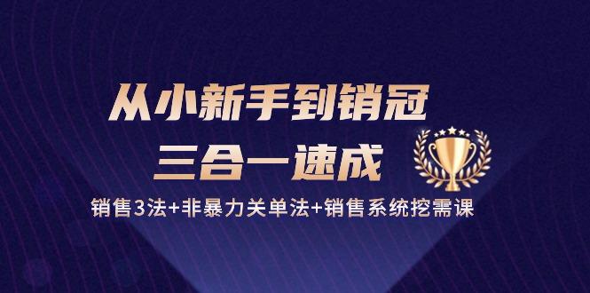 从小新手到销冠 三合一速成：销售3法+非暴力关单法+销售系统挖需课 (27节-博库