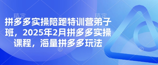 拼多多实操陪跑特训营弟子班，2025年2月拼多多实操课程，海量拼多多玩法-博库