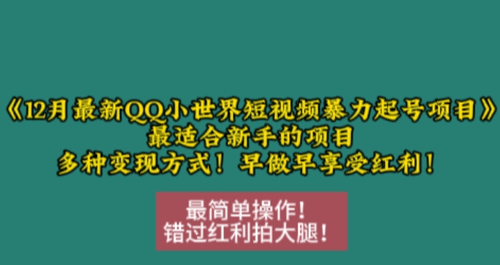 12月最新QQ小世界短视频暴力起号项目，最适合新手的项目，多种变现方式-博库