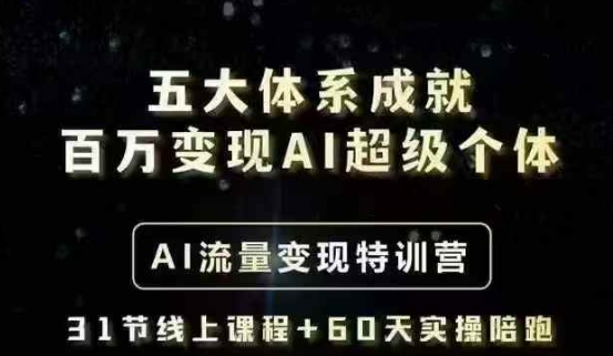 五大体系成就百万变现AI超级个体- AI流量变现特训营，一步一步教你一个人怎么年入百W-博库