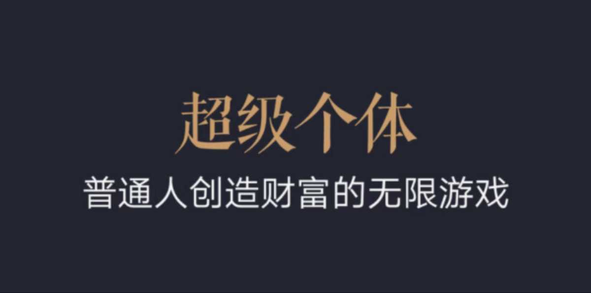 超级个体：2024-2025翻盘指南，普通人创造财富的无限游戏-博库