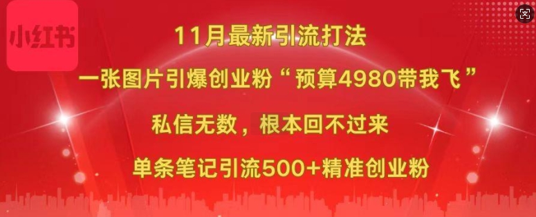 小红书11月最新图片打粉，一张图片引爆创业粉，“预算4980带我飞”，单条引流500+精准创业粉-博库