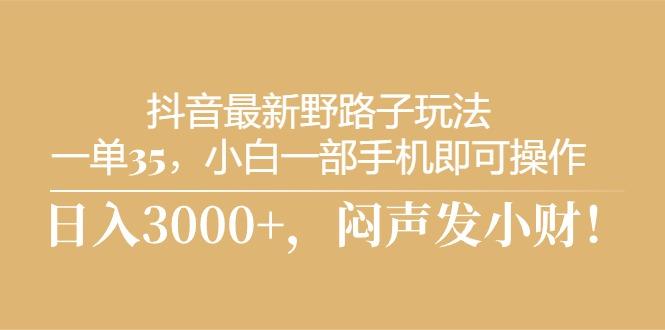 抖音最新野路子玩法，一单35，小白一部手机即可操作，，日入3000+，闷…-博库