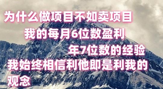 做项目不如卖项目，每月6位数盈利，年7位数经验-博库