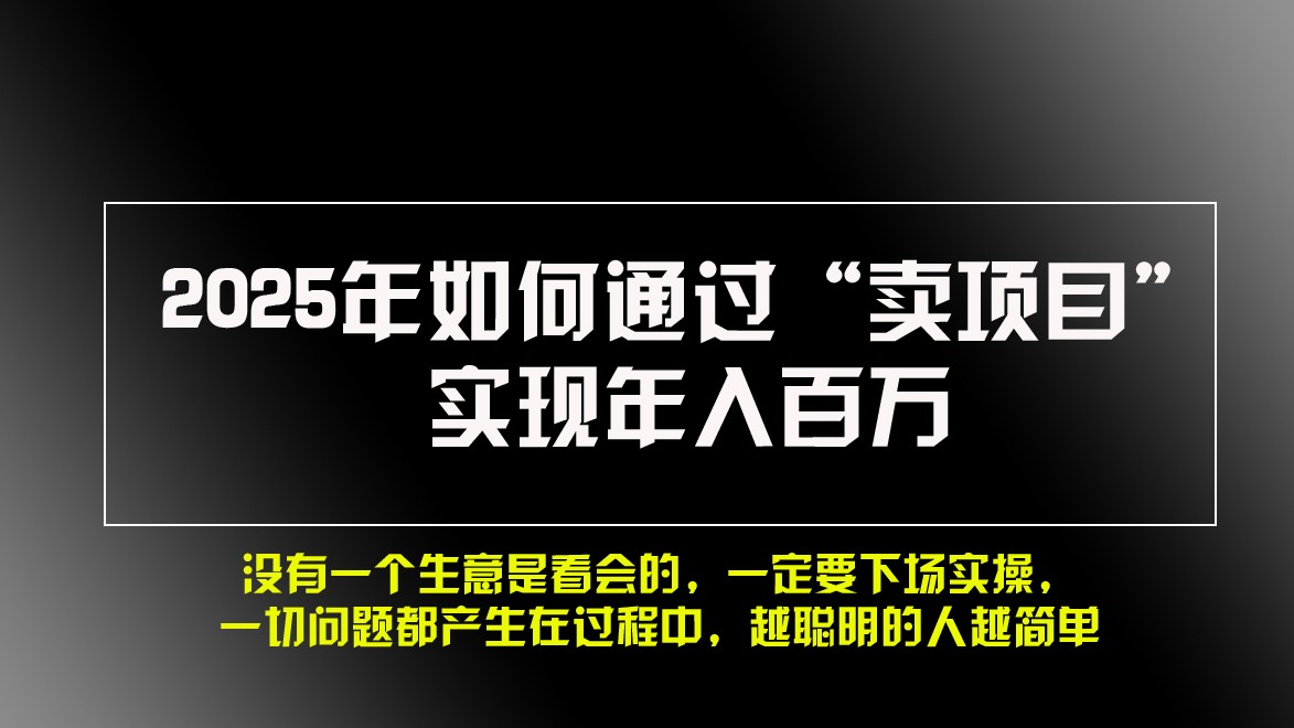 2025年如何通过“卖项目”实现年入百万-博库