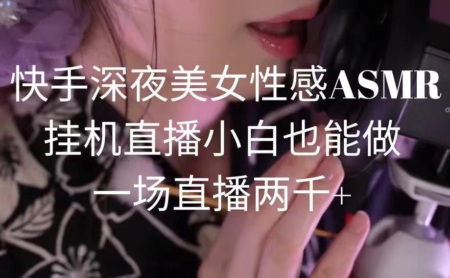 快手深夜美女性感ASMR挂机直播，小白也能做，一场直播两千+-博库