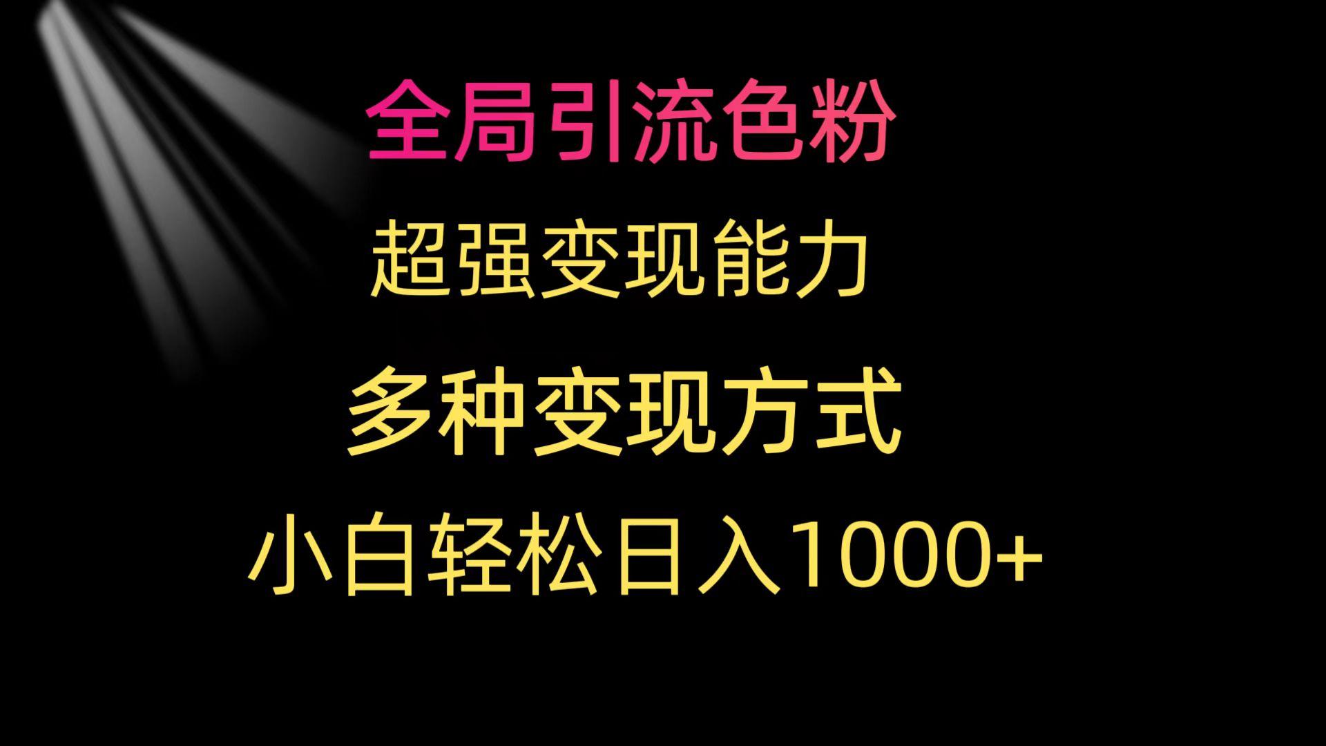 (9680期)全局引流色粉 超强变现能力 多种变现方式 小白轻松日入1000+-博库