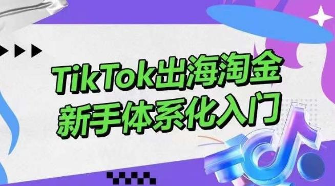 TikTok出海淘金，新手体系化入门，零基础快速入门，掌握短视频、直播带货等引流到变现的知识-博库