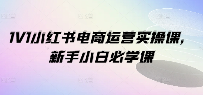 1V1小红书电商运营实操课，新手小白必学课-博库