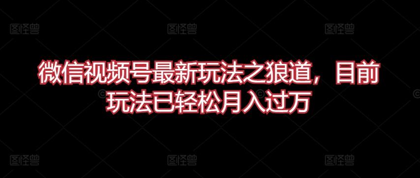 微信视频号最新玩法之狼道，目前玩法已轻松月入过万【揭秘】-博库