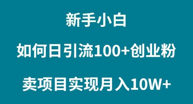 (9556期)新手小白如何通过卖项目实现月入10W+-博库