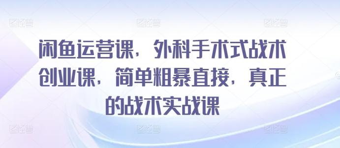 闲鱼运营课，外科手术式战术创业课，简单粗暴直接，真正的战术实战课-博库