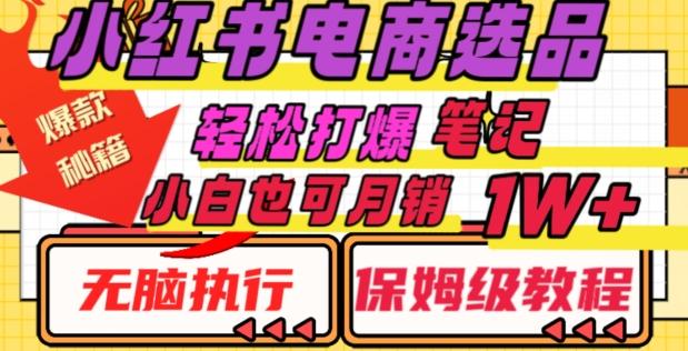 小红书电商爆款选品秘籍，帮你轻松打爆笔记，小白也可轻松月销10000+-博库