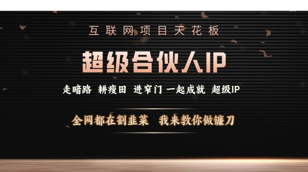 互联网项目天花板，超级合伙人IP，全网都在割韭菜，我来教你做镰刀【仅揭秘】-博库