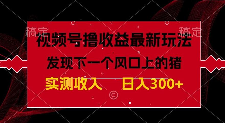 视频号分成计划最新玩法，单条作品几分钟制作完成,日入300+，过年前最后的冲刺-博库