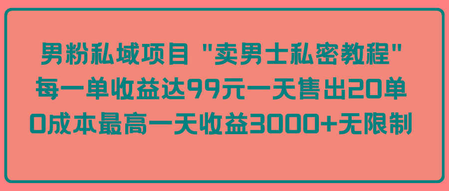 (9730期)男粉私域项目 “卖男士私密教程” 每一单收益达99元一天售出20单-博库