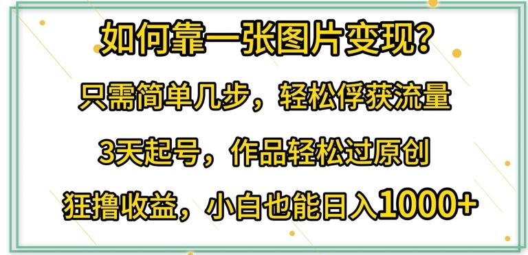 如何靠一张图片变现?只需简单几步，轻松俘获流量，3天起号，作品轻松过原创【揭秘】-博库