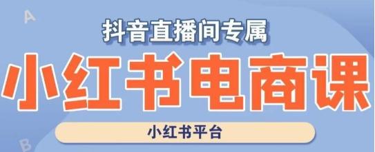 小红书电商高级运营课程，实操教学+案例分析-博库