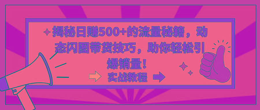 揭秘日赚500+的流量秘籍，动态闪图带货技巧，助你轻松引爆销量！-博库